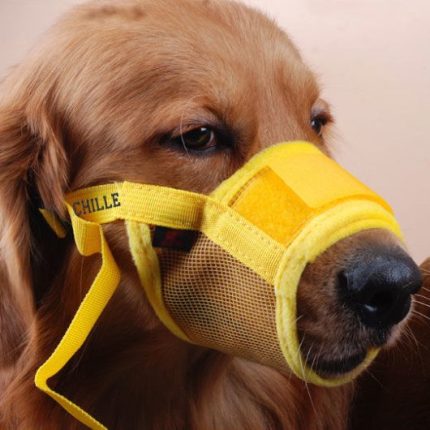 Personalized Mesh Dog Muzzle – photo 2